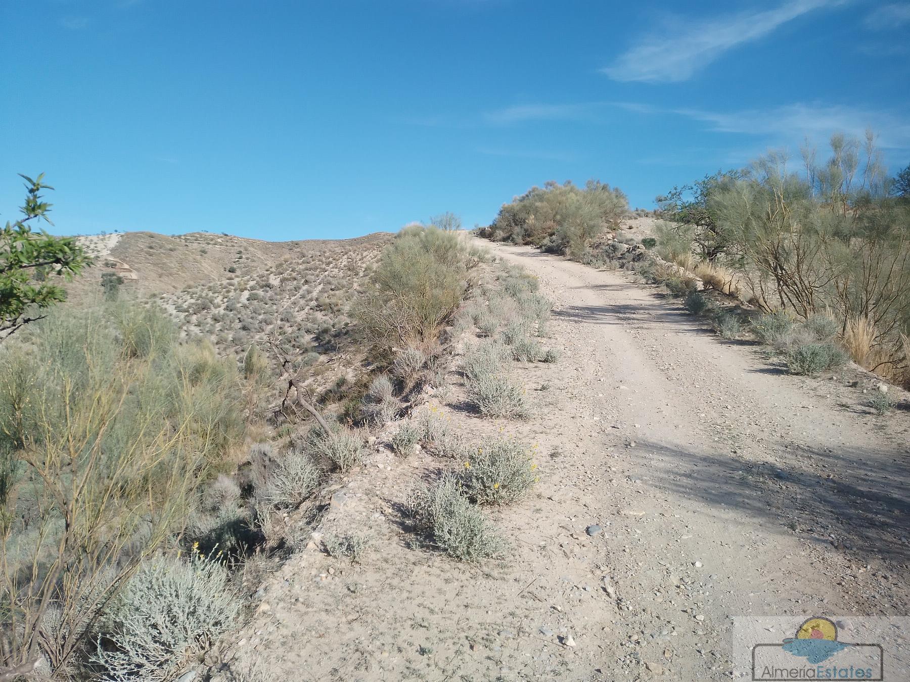 Venta de finca rústica en Cantoria