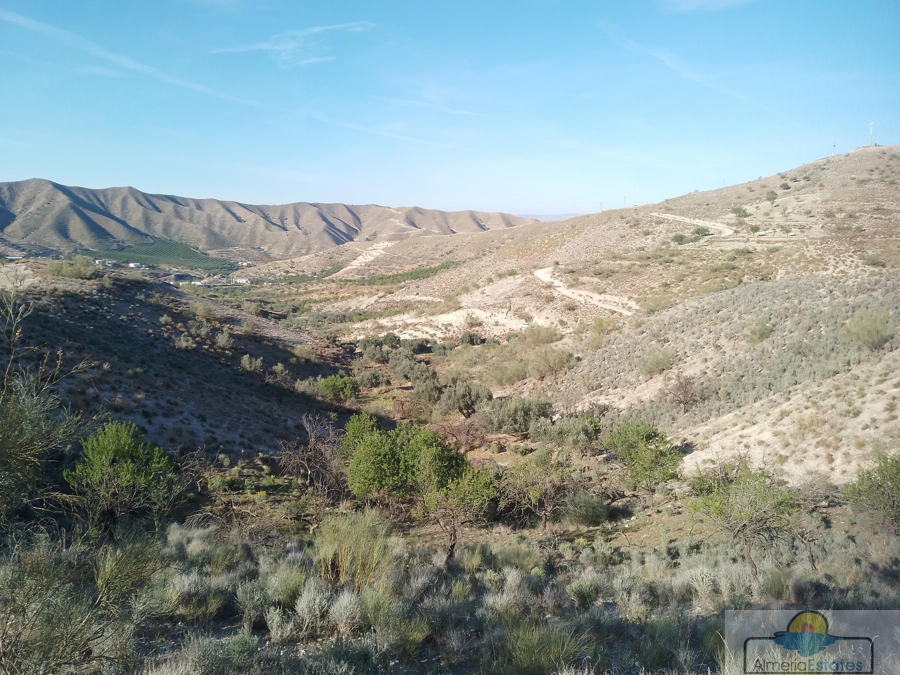 Venta de finca rústica en Cantoria