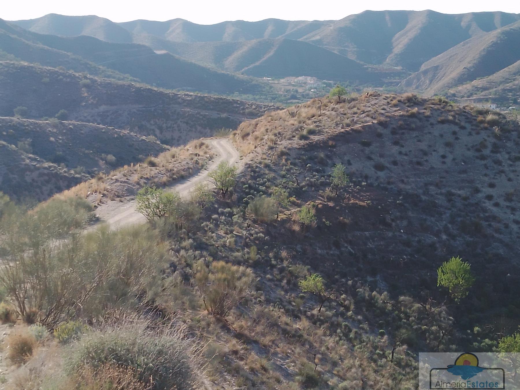 Venta de finca rústica en Cantoria