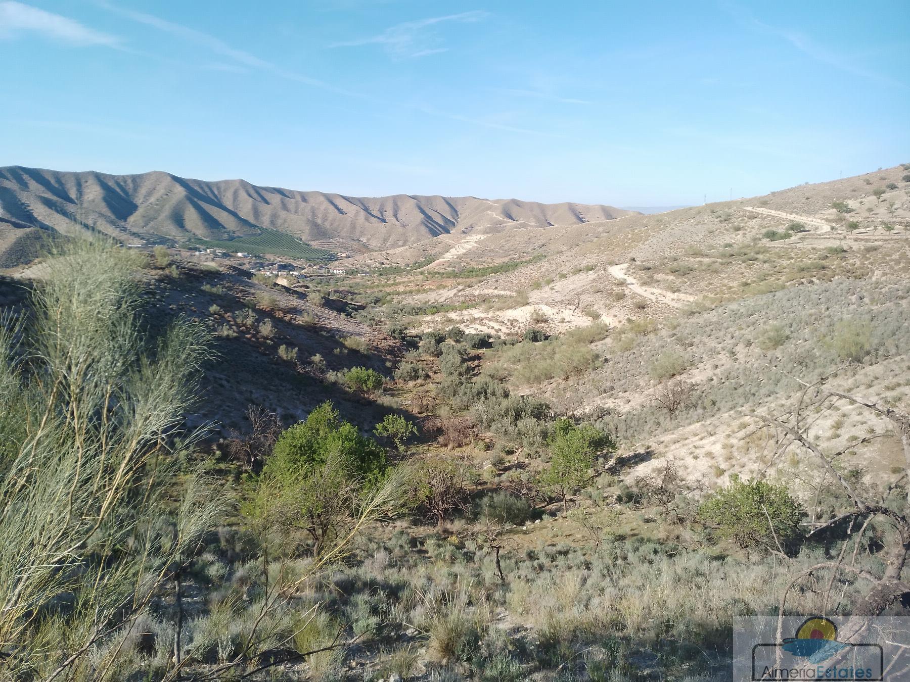 Venta de finca rústica en Cantoria