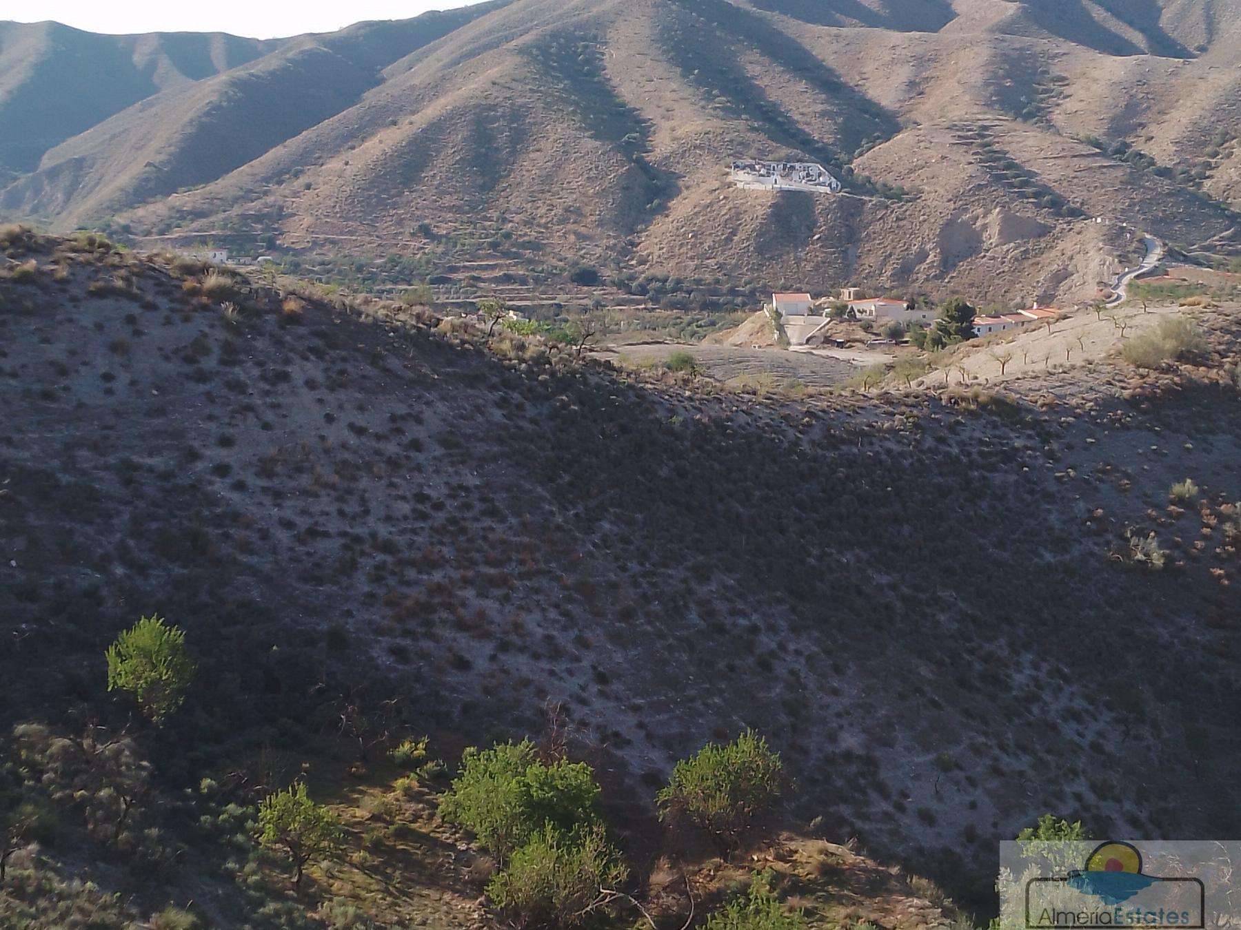 Venta de finca rústica en Cantoria