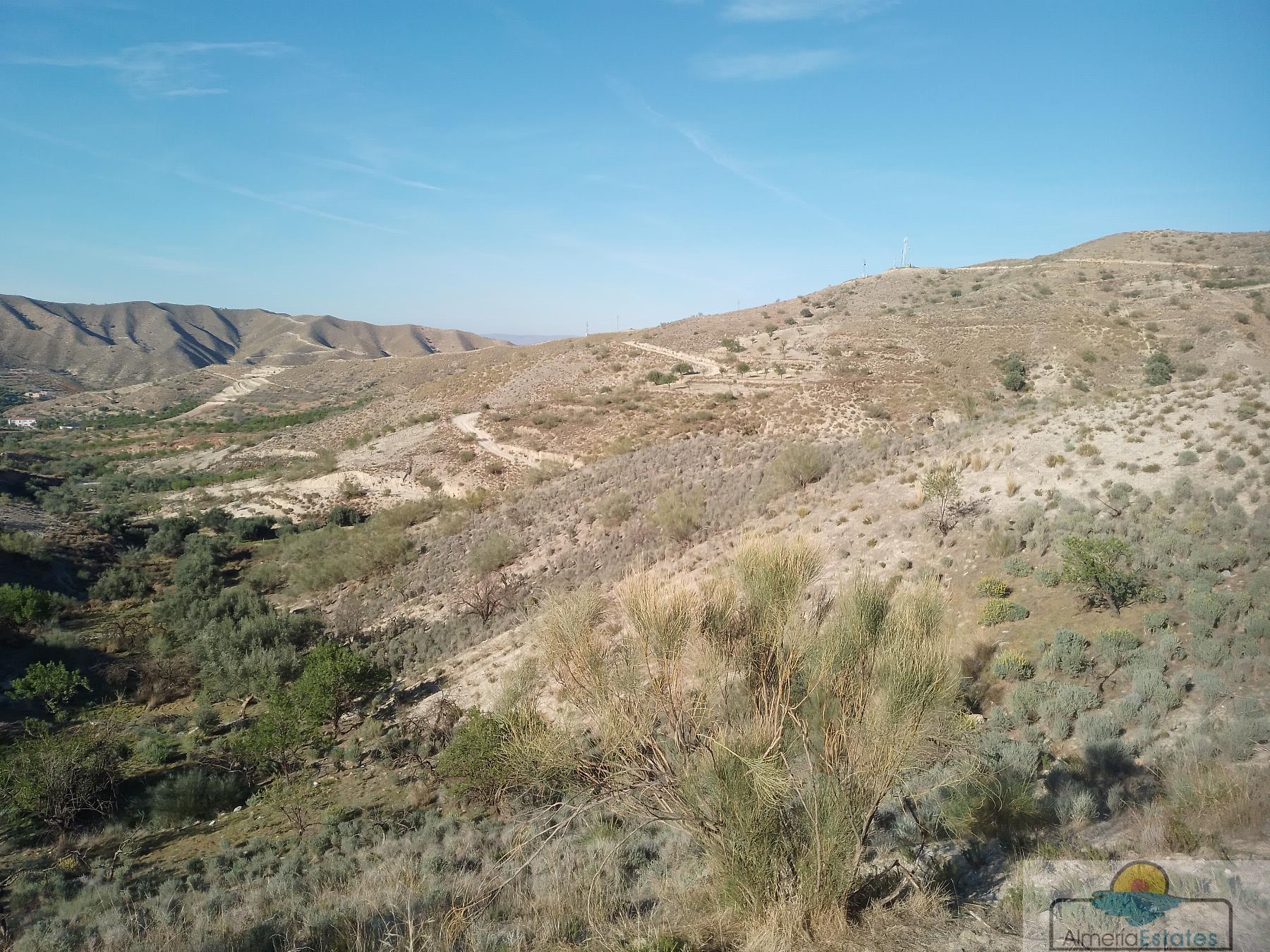 Venta de finca rústica en Cantoria