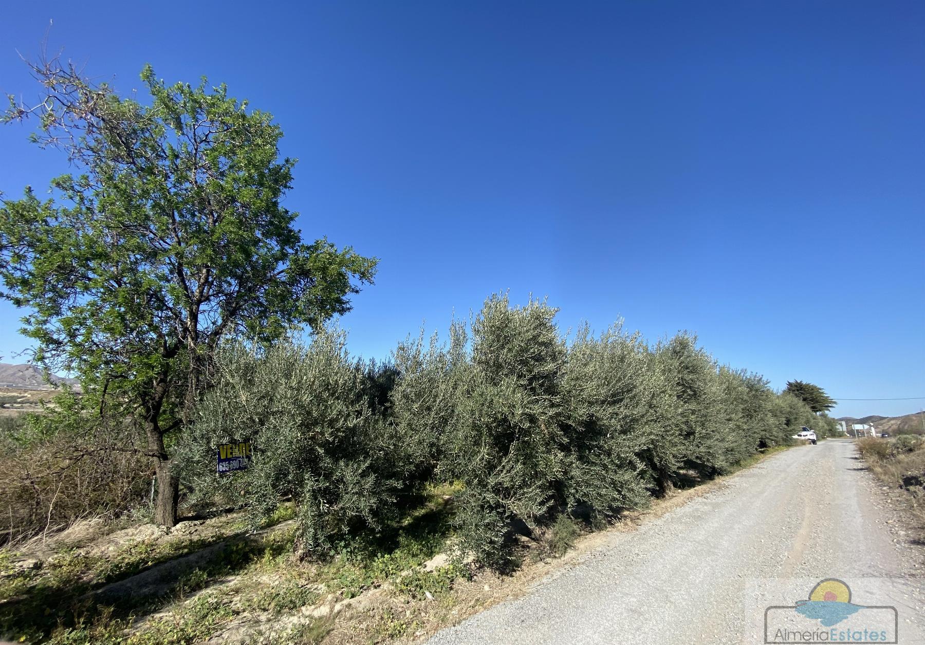 Venta de terreno en Tíjola