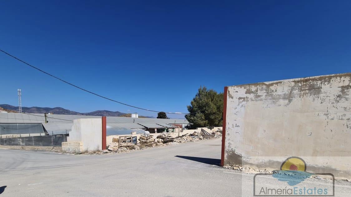 For sale of warehouse in Macael