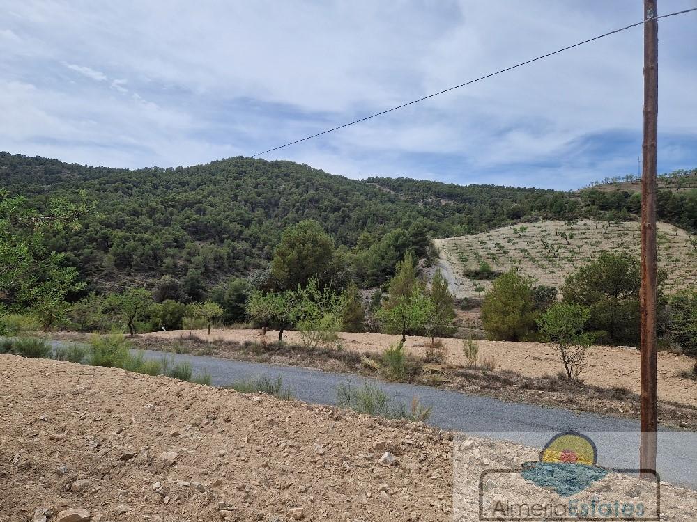 Venta de finca rústica en Oria