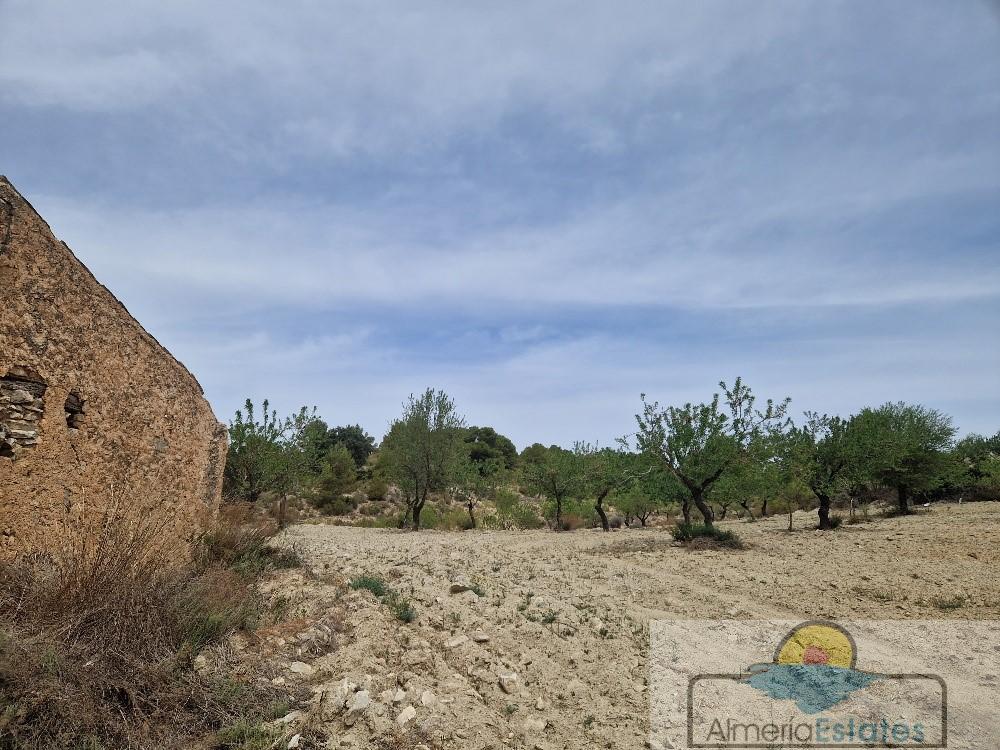 Venta de finca rústica en Oria
