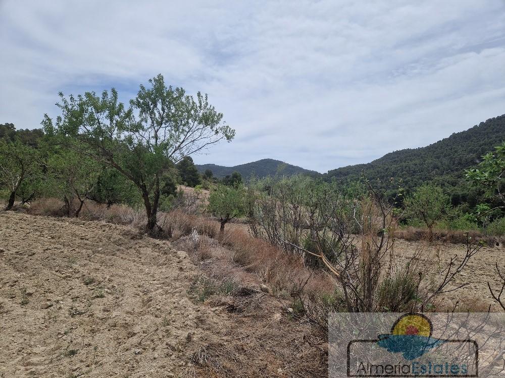 Venta de finca rústica en Oria