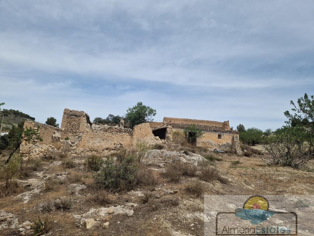 Venta de finca rústica en Oria