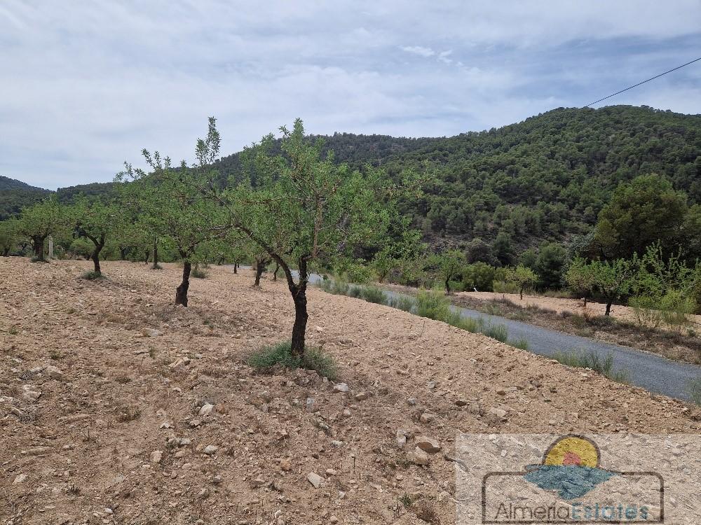 Venta de finca rústica en Oria