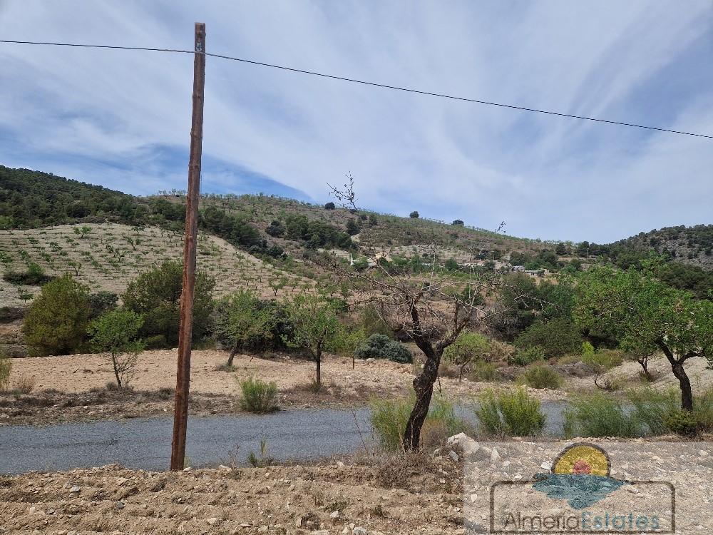 Venta de finca rústica en Oria