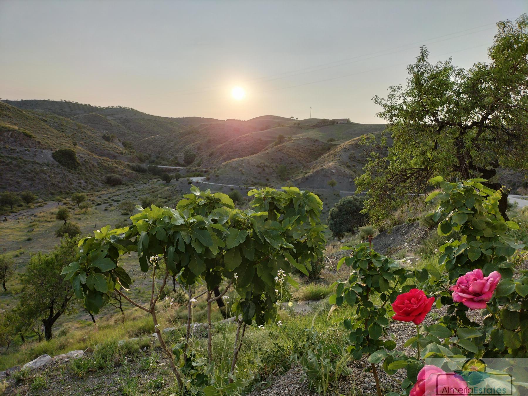 Venta de casa en Taberno