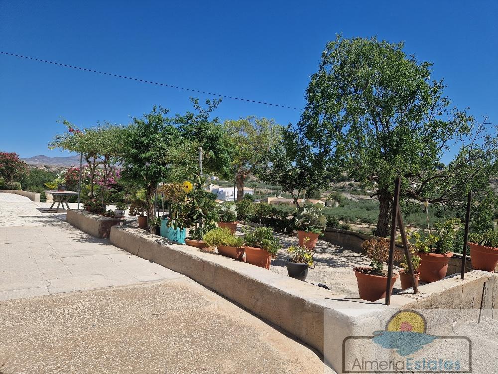 Venta de chalet en Albox