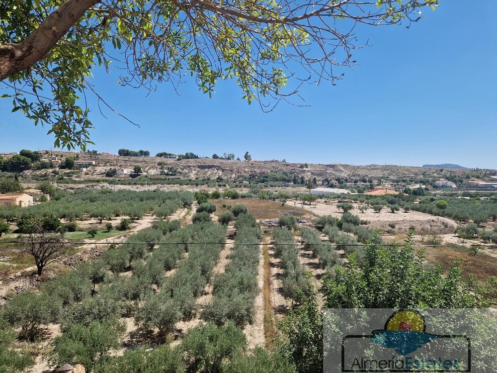 Venta de chalet en Albox