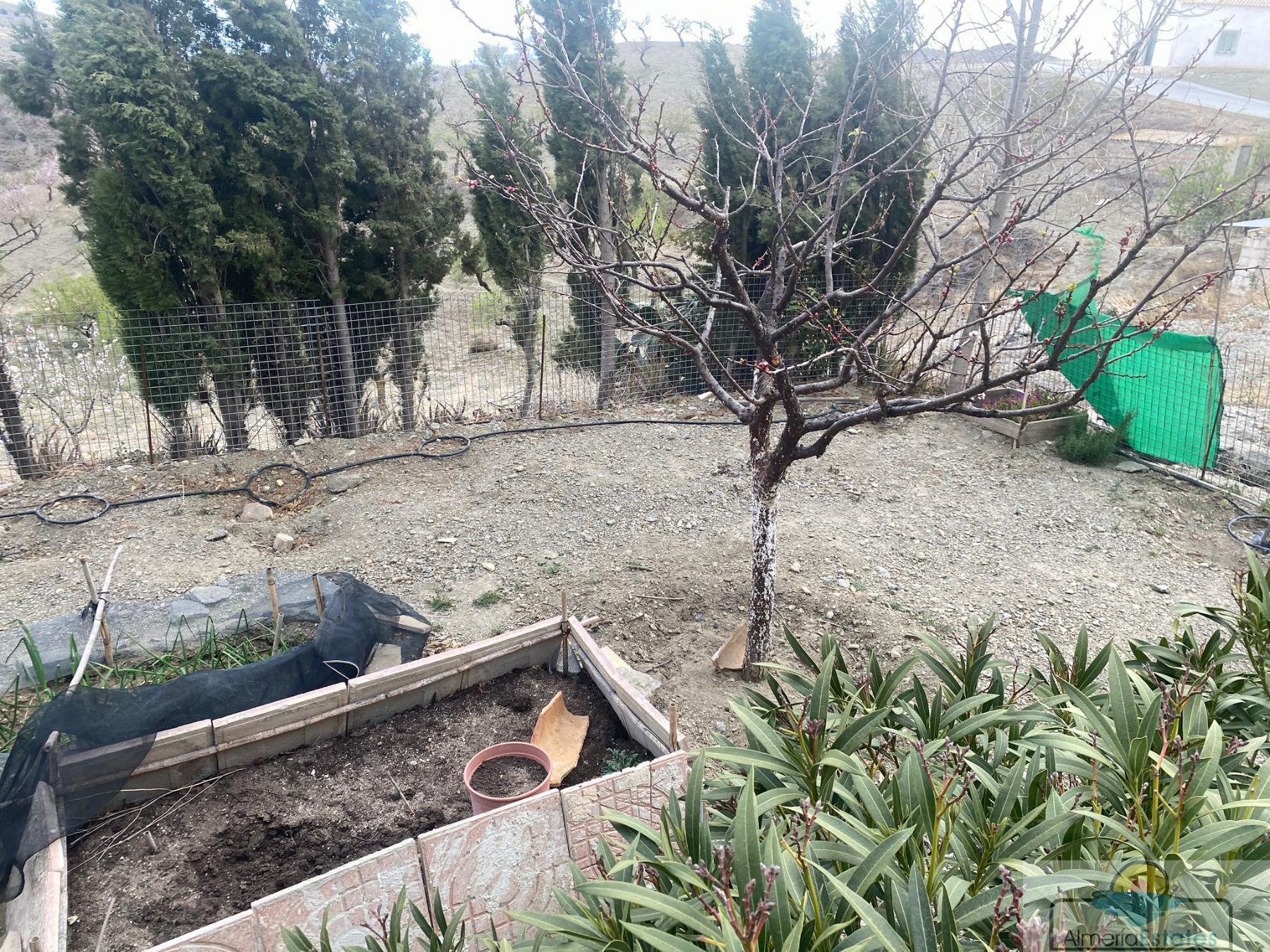 Alquiler de casa en Vélez-Rubio