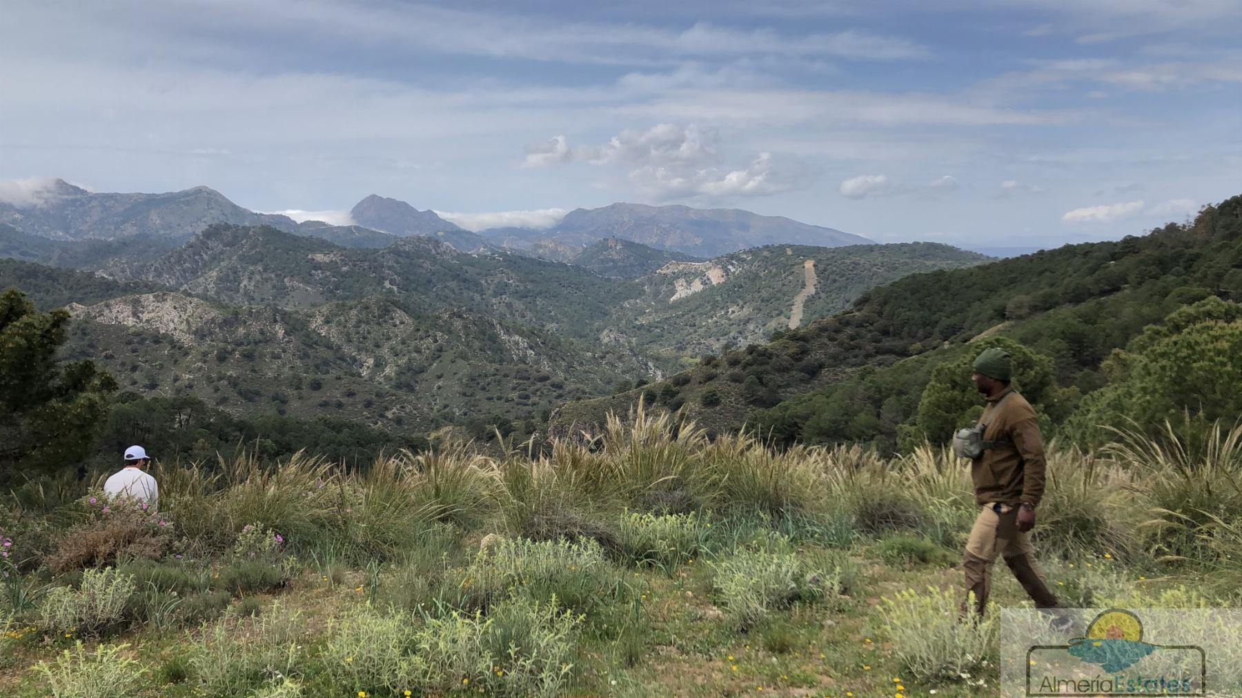 Venta de terreno en Almanzora