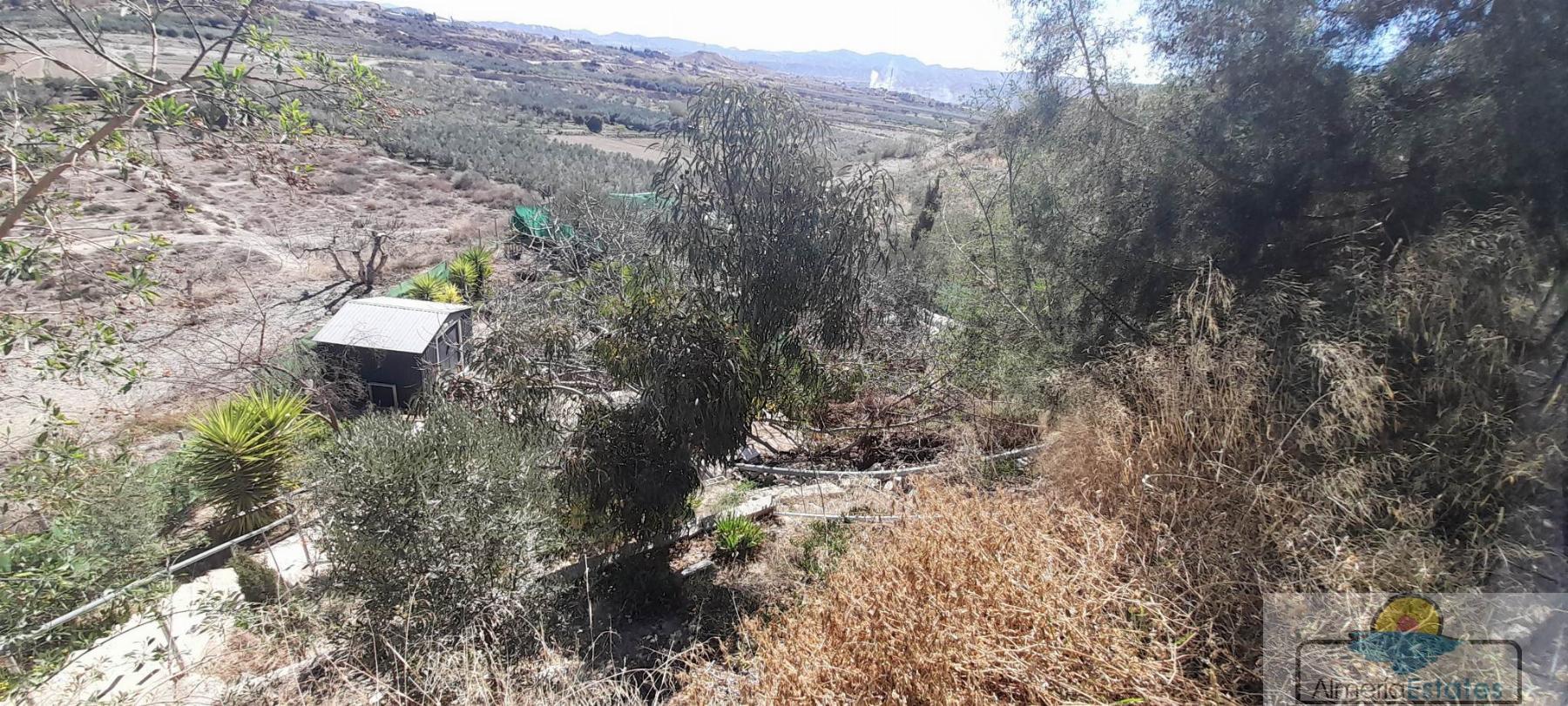 Venta de casa en Albox