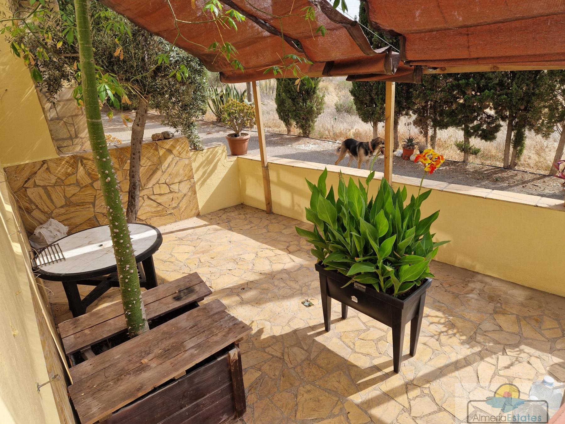 For rent of house in Arboleas
