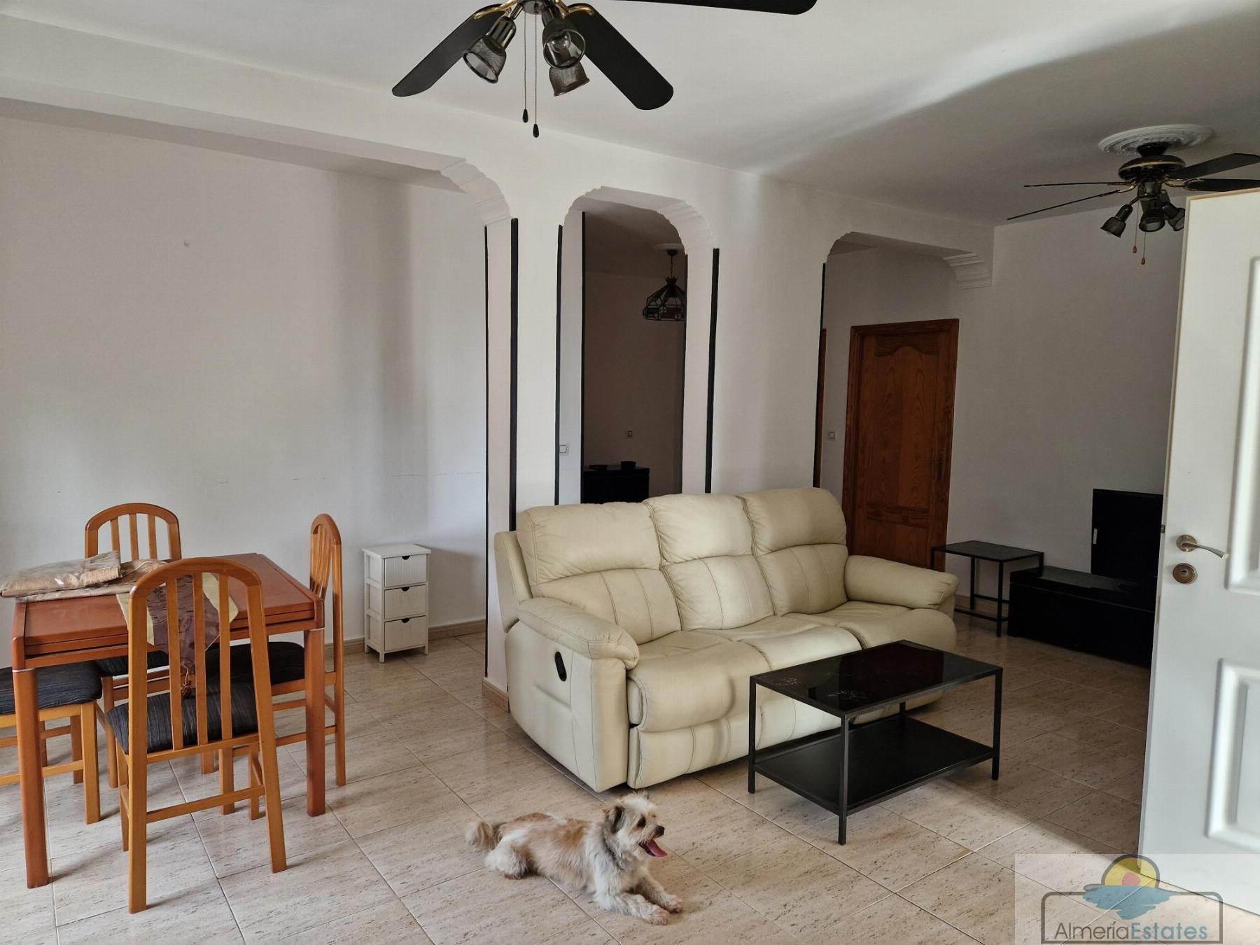 For rent of house in Arboleas