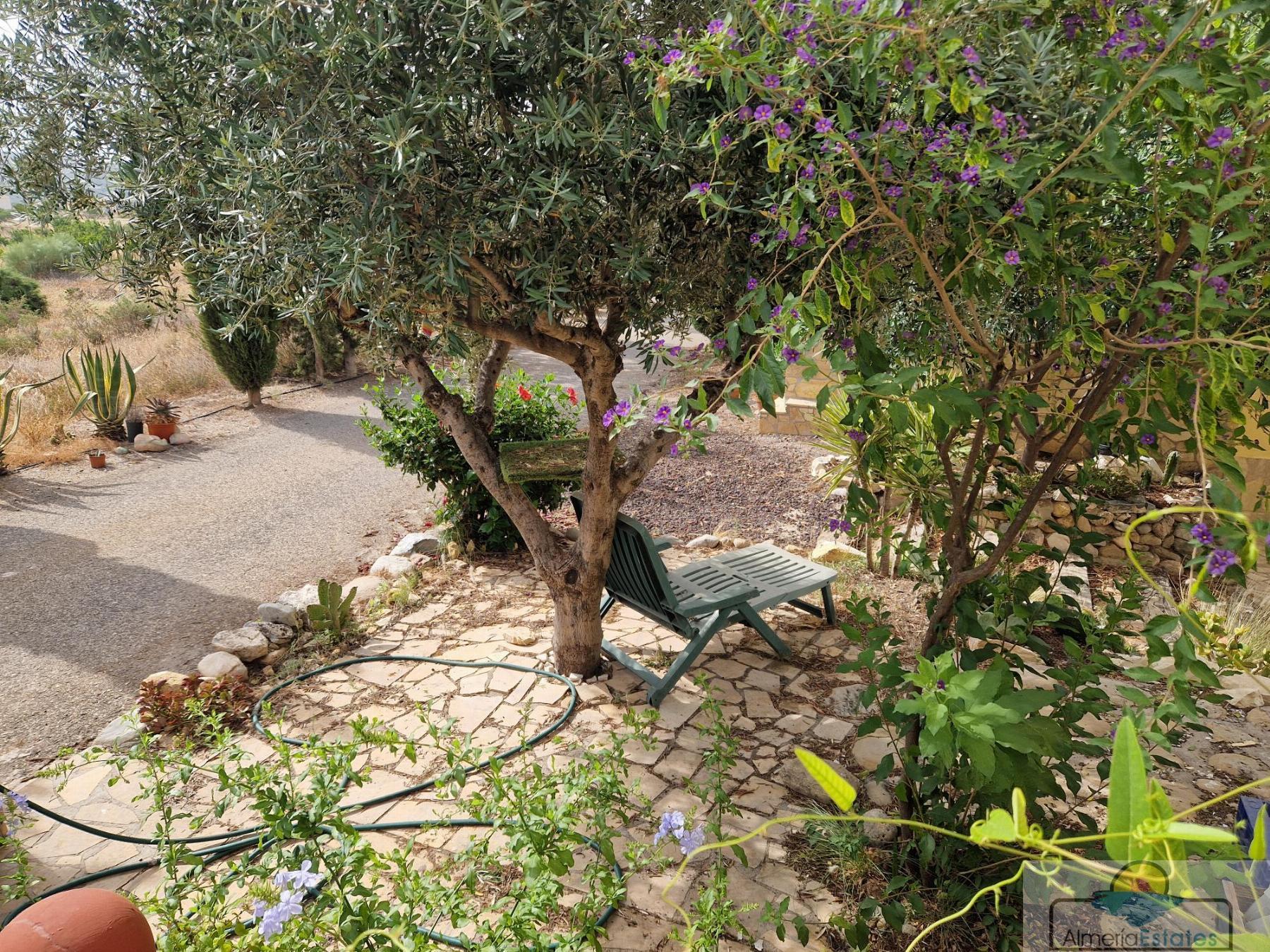 For rent of house in Arboleas