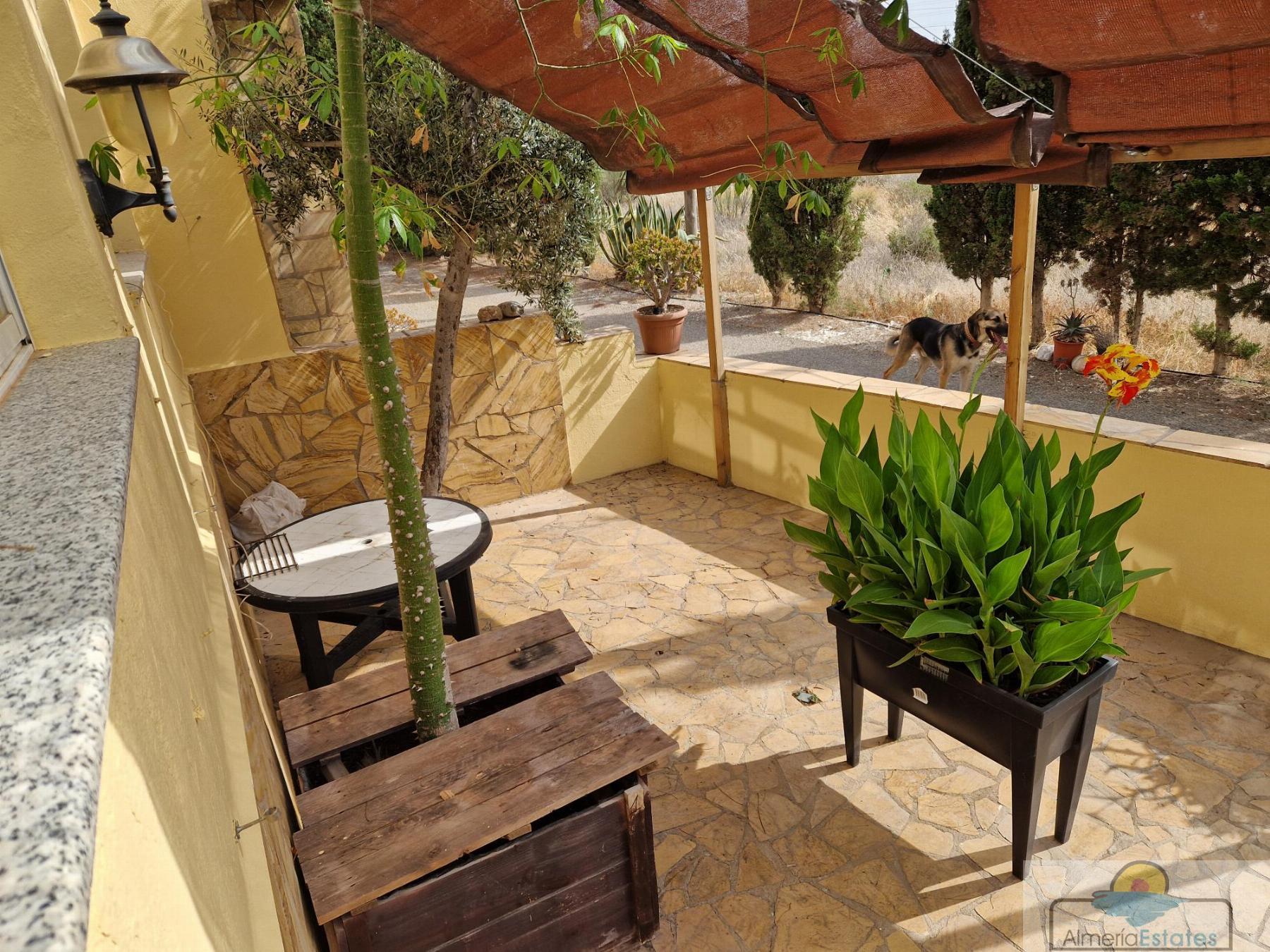 For rent of house in Arboleas