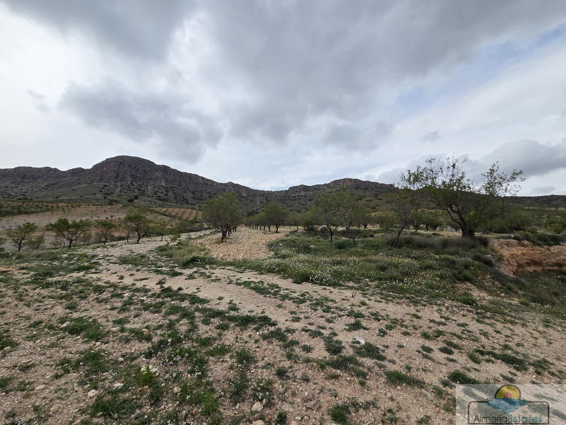 Venta de terreno en Albox