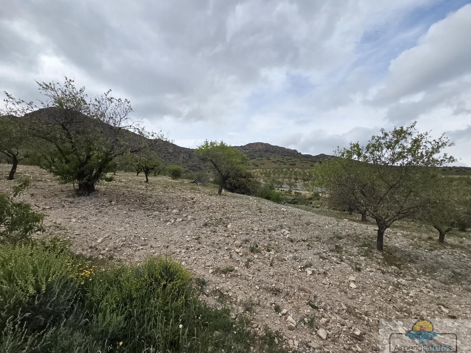 Venta de terreno en Albox