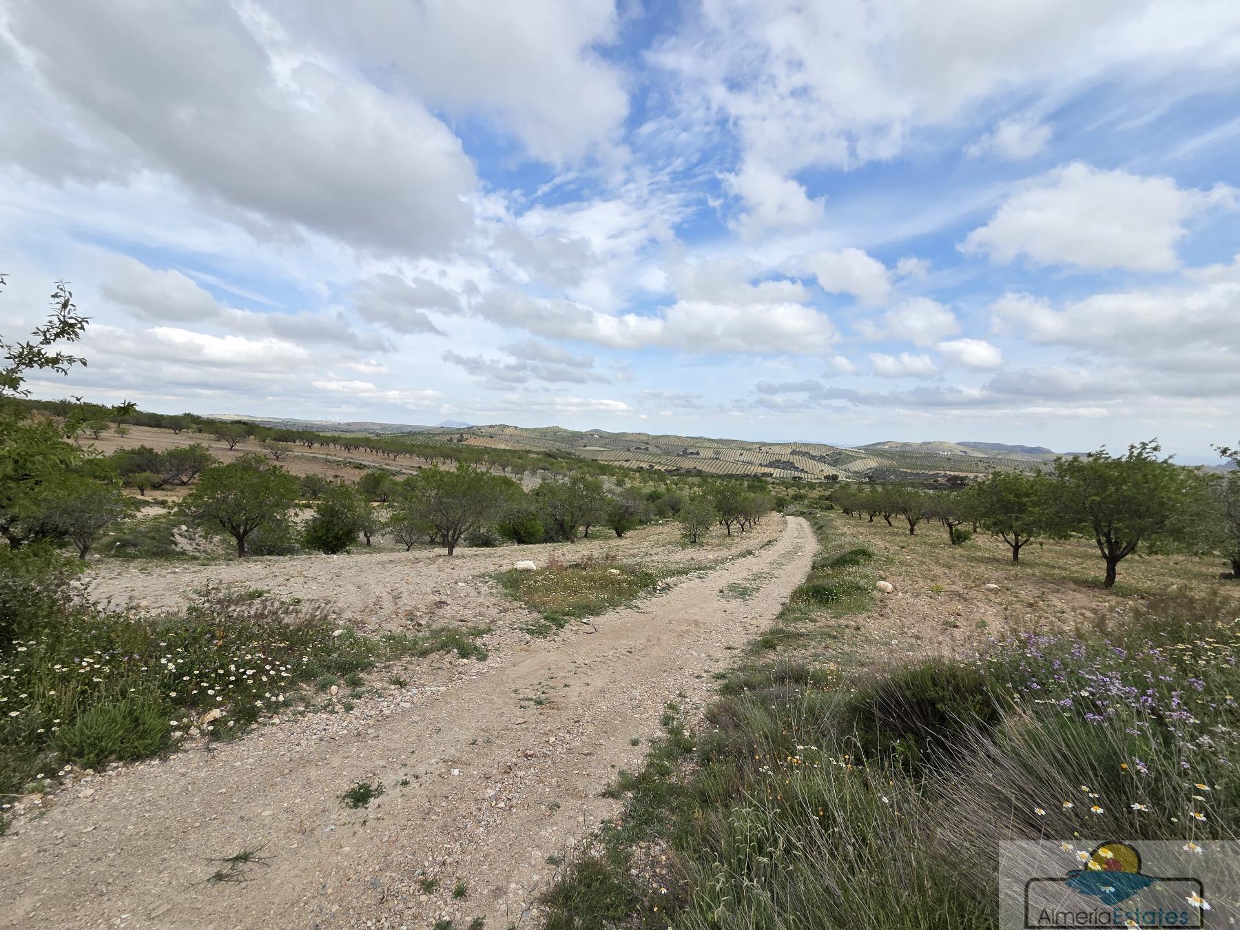 Venta de terreno en Albox