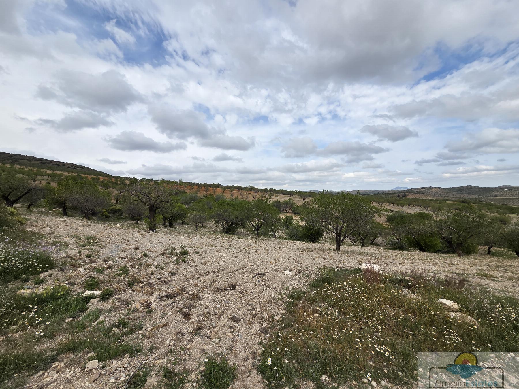 Venta de terreno en Albox