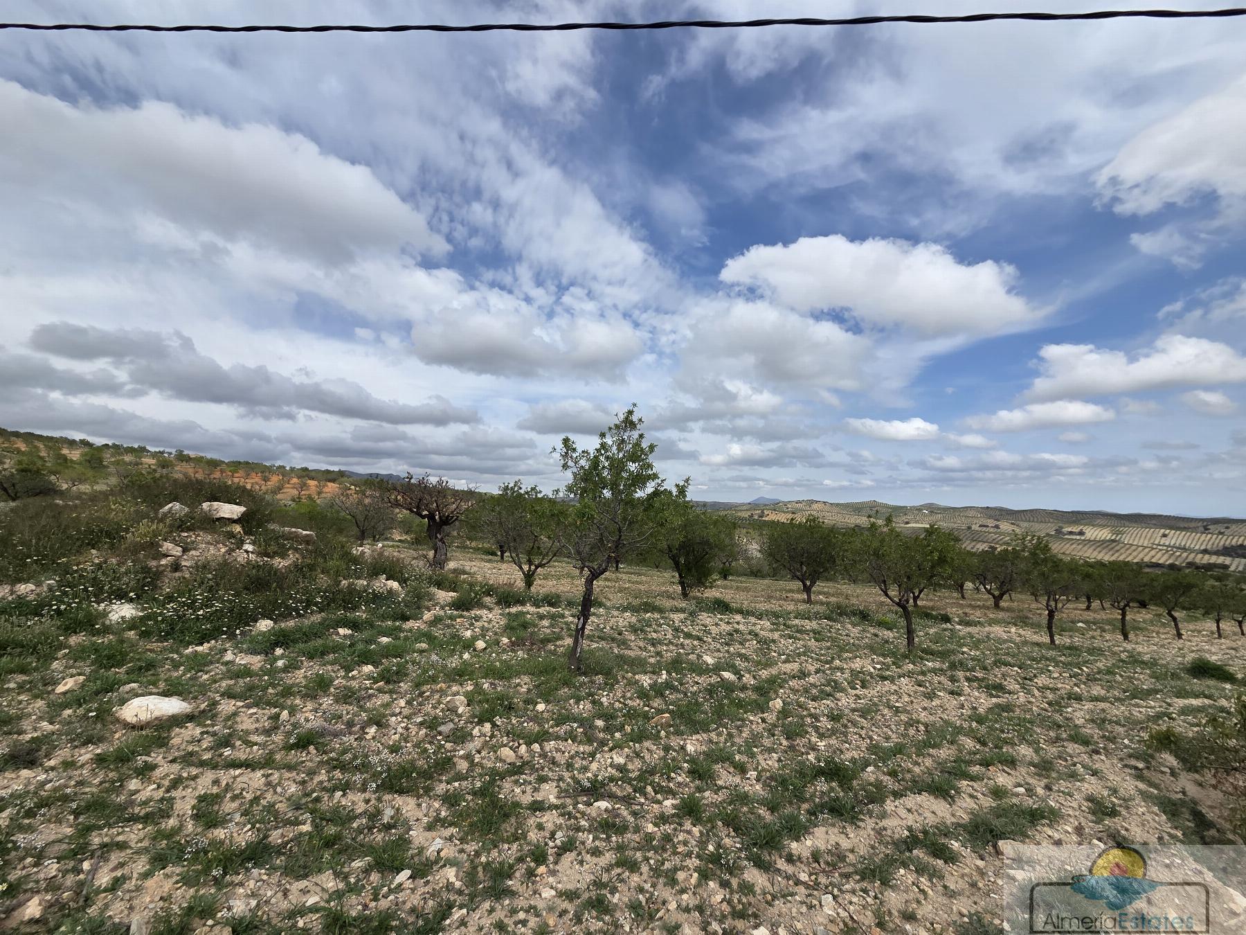 Venta de terreno en Albox