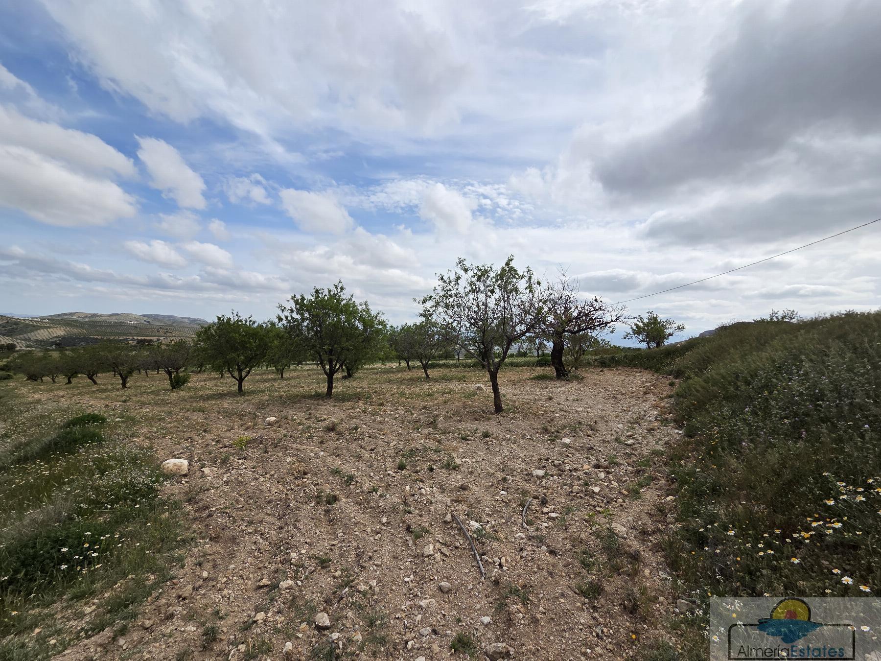 Venta de terreno en Albox