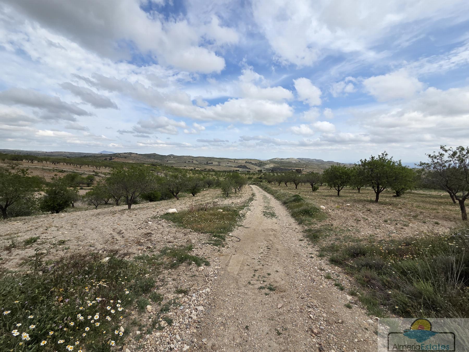 Venta de terreno en Albox