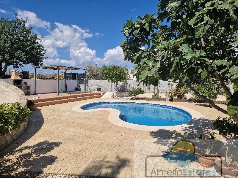 For rent of villa in Albox