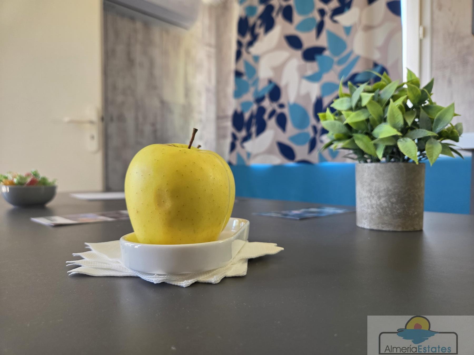Alquiler de casa en Albox