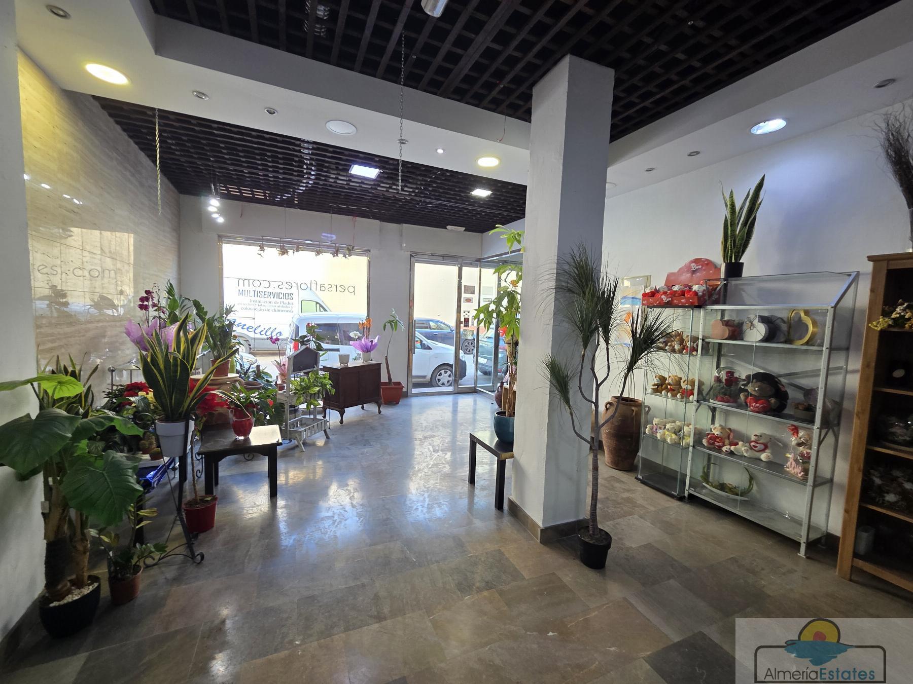 Venta de local en Albox