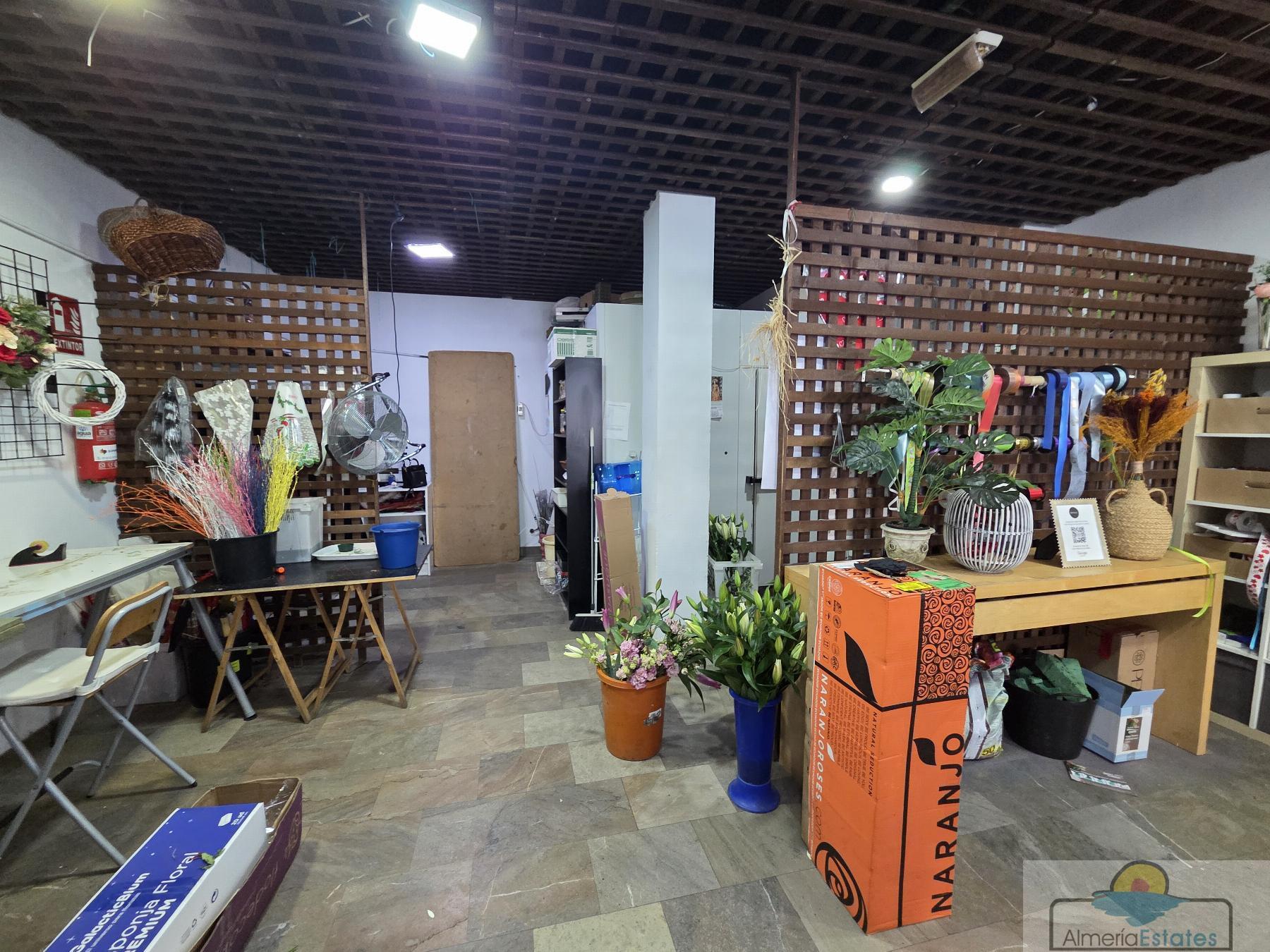 Venta de local en Albox