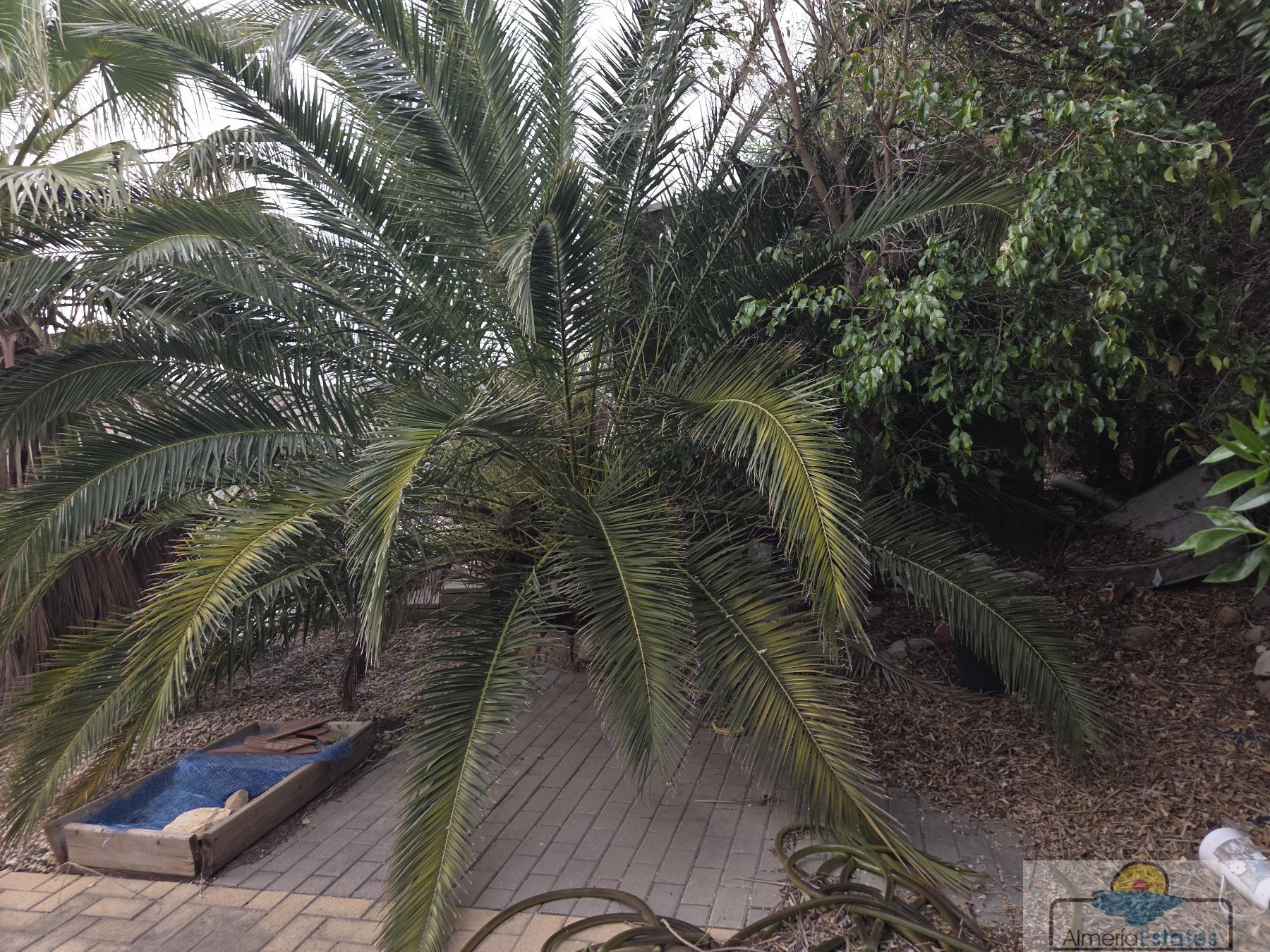 Venta de villa en Antas