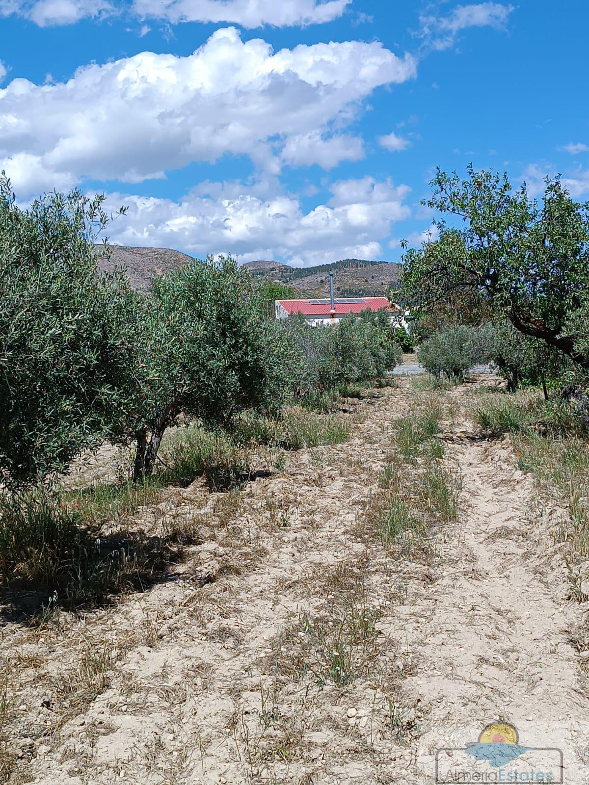 Venta de villa en Oria