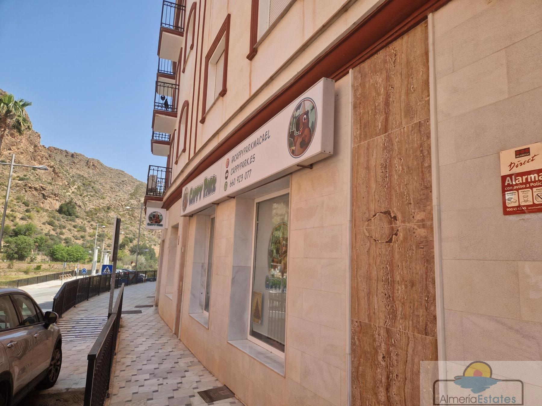 Alquiler de local en Macael