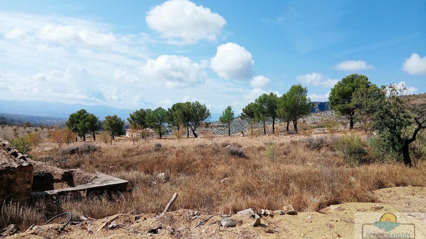 Venta de casa en Albox