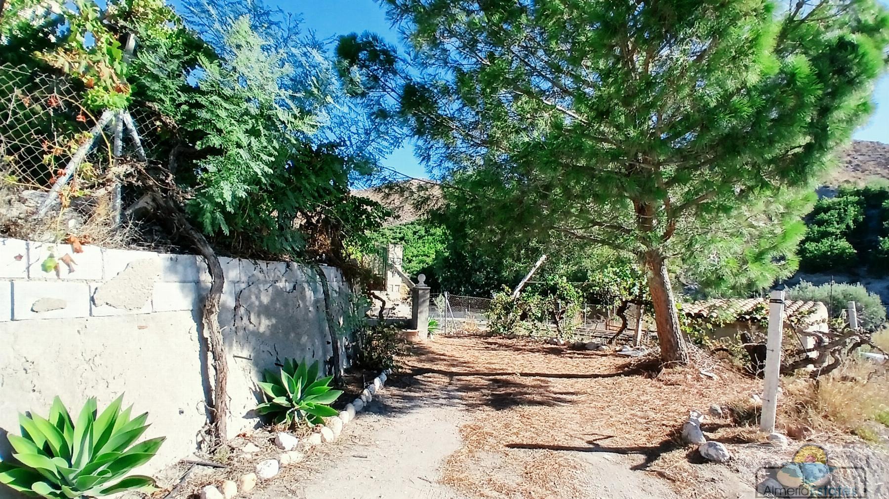 Alquiler de casa en Cantoria