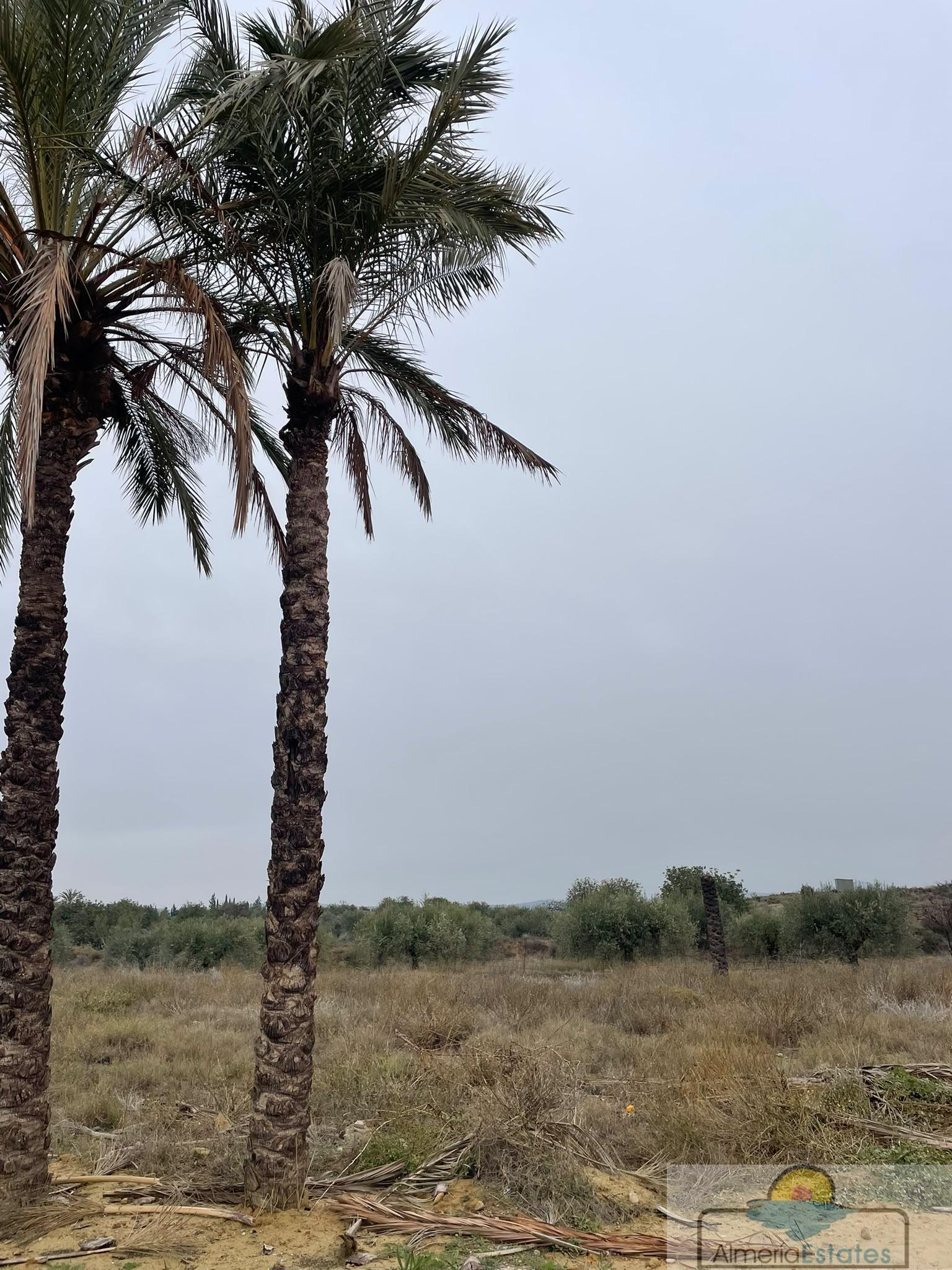 Venta de terreno en Huércal-Overa