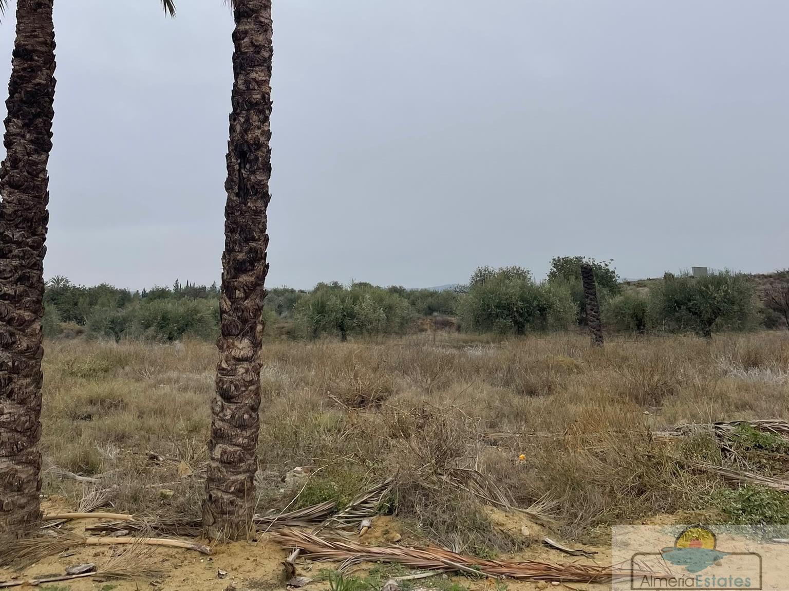 Venta de terreno en Huércal-Overa