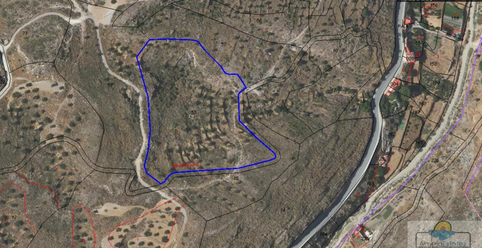 Venta de finca rústica en Macael