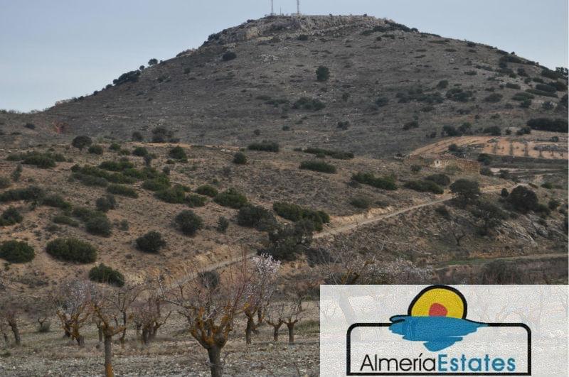 Venta de villa en Chirivel