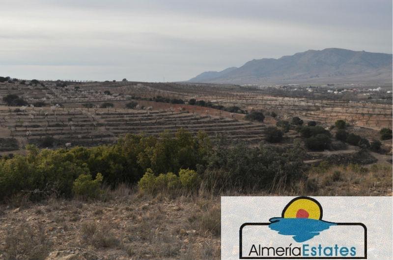 Venta de villa en Chirivel