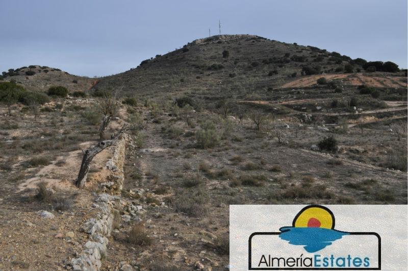 Venta de villa en Chirivel