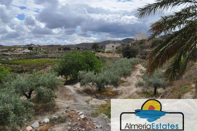 Venta de villa en Cantoria