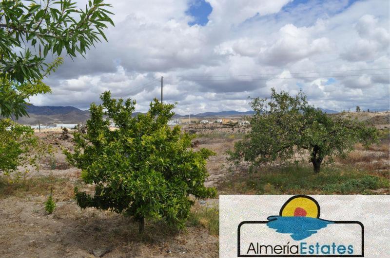 Venta de villa en Cantoria