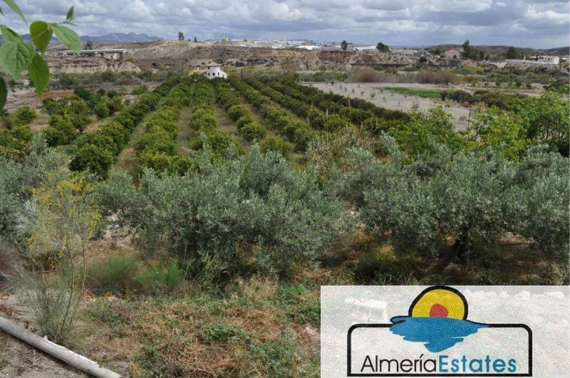 Venta de villa en Cantoria