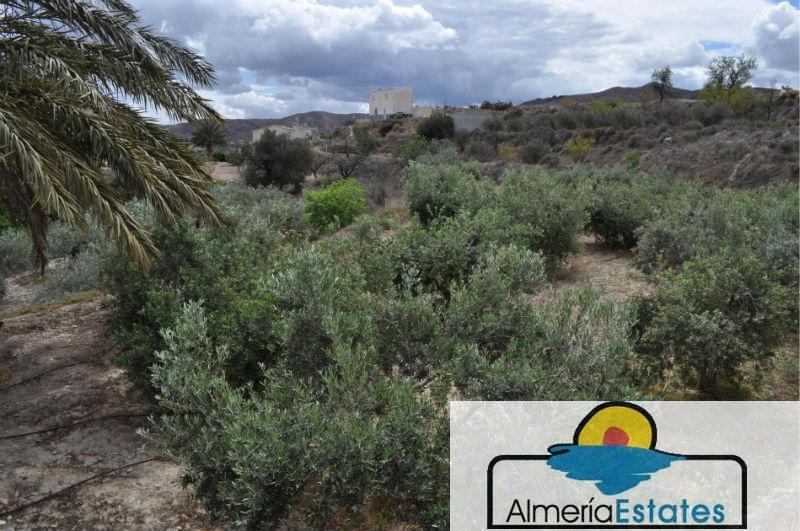 Venta de villa en Cantoria